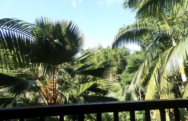 Hillside Retreat - Foto 25