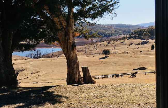 Anglers Reach Lakeside Village - Photo 62