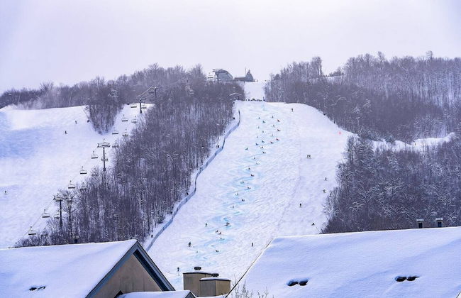 Blue Mountain - Foto 31