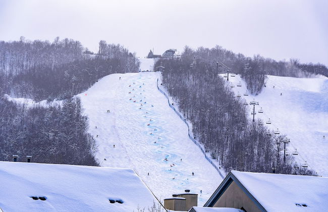 Blue Mountain - Foto 30