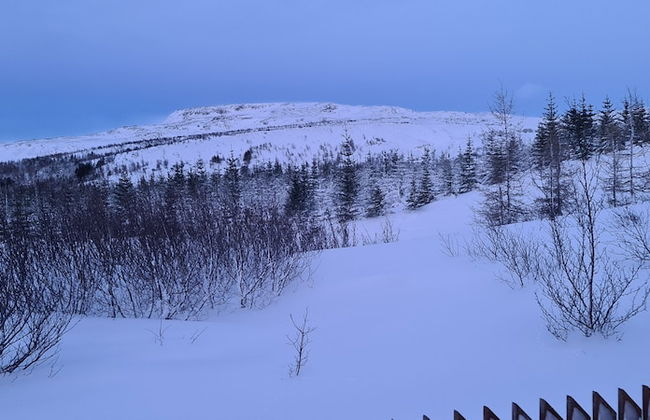 Gljúfurbústaðir - Foto 29