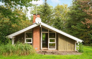 Photo 1 - Wooden Holiday Home in Jutland near Sea