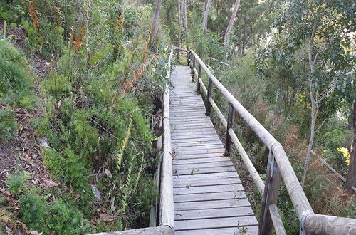 Photo 61 - Serenity Apartments Noosa