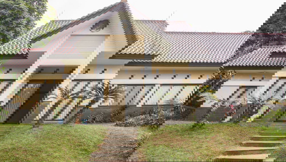 Primary image