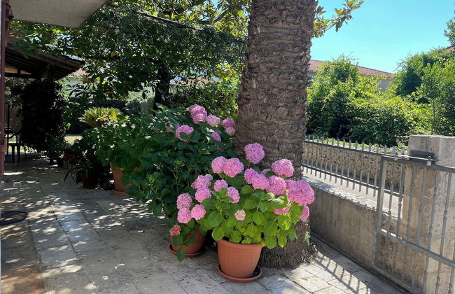 Room-s2 - Double Room in Jelsa on Hvar w - Foto 12