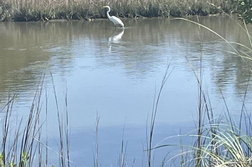 Foto 46 - Blue Heron Retreat