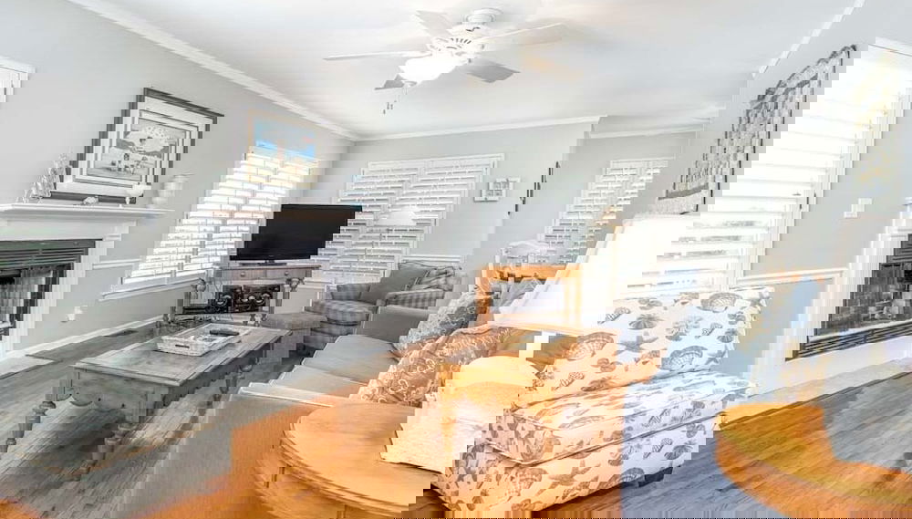 Imagem principal