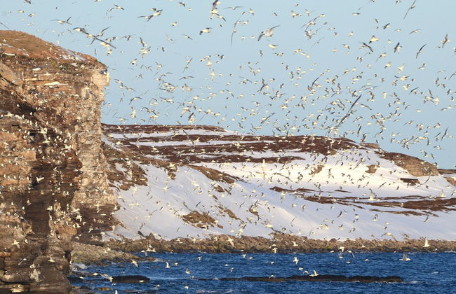 Ekker Island Arctic Lodge - Foto 52