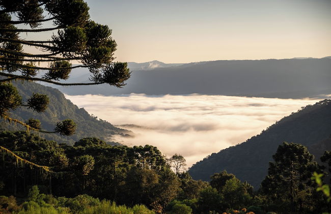 Sítio Mar de Nuvens Chalés de Luxo - Foto 39