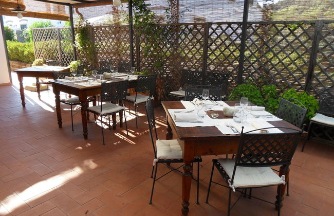 Fattoria La Steccaia - Foto 49