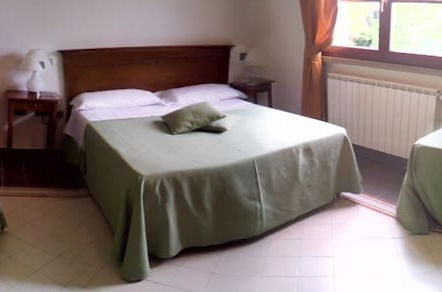 Foto 5 - Fattoria La Steccaia