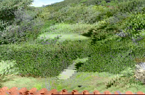 Foto 55 - Fattoria La Steccaia