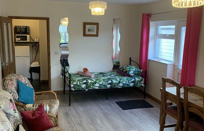 Beautiful Fir Grove Apartment Begelly - Foto 10
