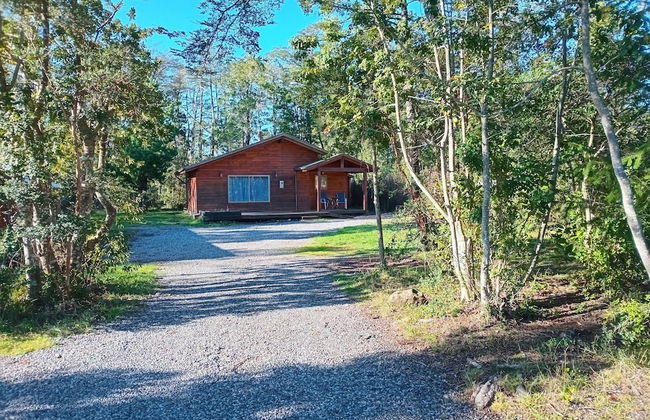 Araucania River Lodge - Foto 20