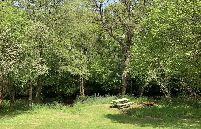 Charming 1-bed Cottage in Liskeard Cornwall - Foto 13
