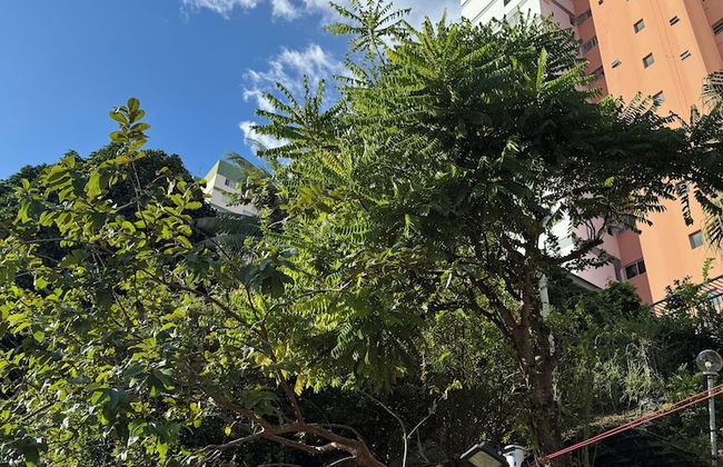 Apartamento perto de tudo em condomínio - Foto 13