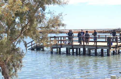 Photo 30 - Aguas Salinas