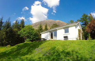 Photo 2 - Signal Rock Glencoe Cottages