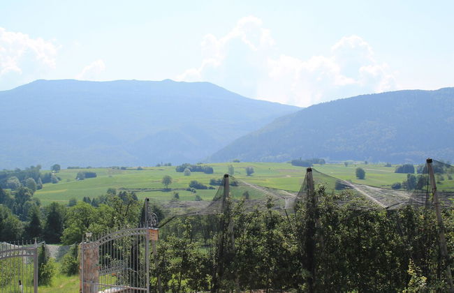 Agriturismo Maso Alle Rose - Foto 25