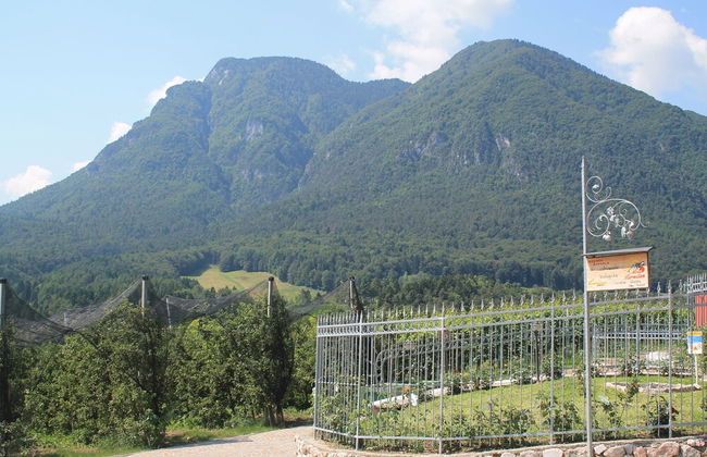 Agriturismo Maso Alle Rose - Foto 22