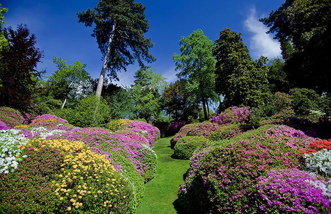 Villa Margherita Grande - Foto 30