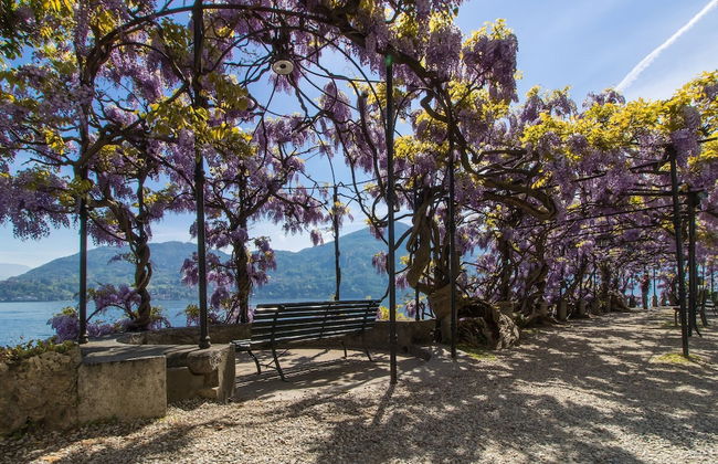 Villa Margherita Grande - Foto 29