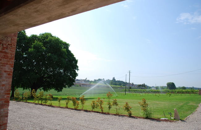 Agriturismo Bosco del Gal - Foto 43