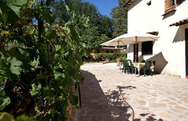 Il Querceto - B&B e Appartamenti Vacanze - Foto 72