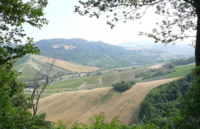 La Pergola in Castell'arquato - Foto 7