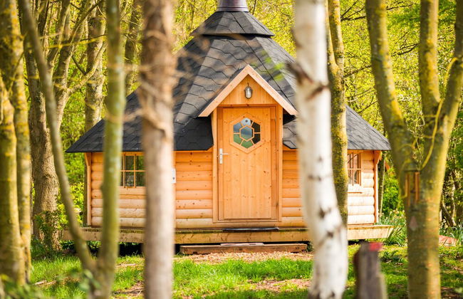 Swan Lodge With Hot Tub, Sauna and Treatments - Foto 33