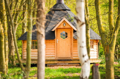 Photo 33 - Swan Lodge With Hot Tub, Sauna and Treatments