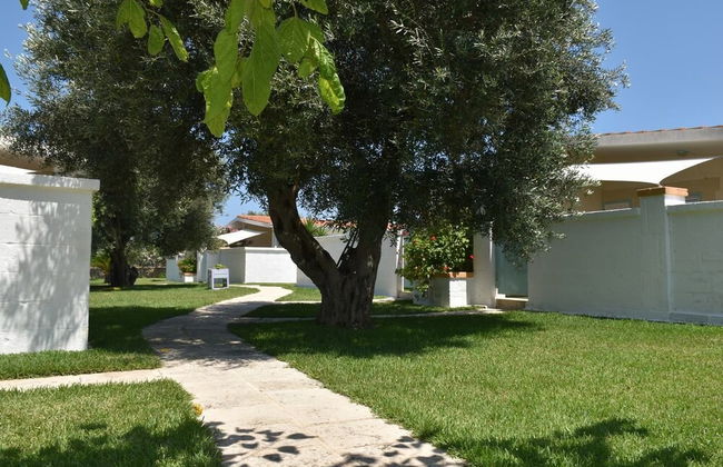 Casa Vacanze Gli Oleandri - Foto 26