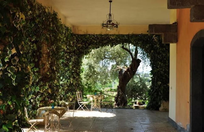 Antico Borgo Etneo Country Hotel - Foto 69