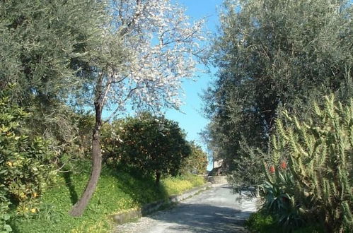 Photo 76 - Antico Borgo Etneo - Agriturismo Country House Hotel