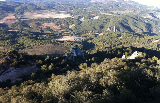 Masia La Safranera - Foto 60