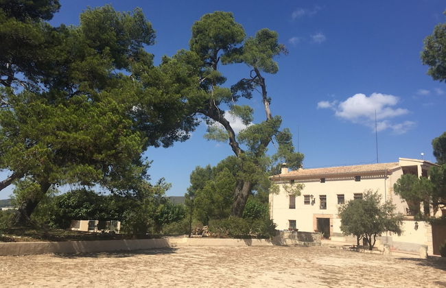 Masia La Safranera - Foto 47