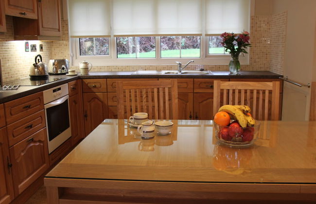 Macdonald Plas Talgarth Holiday Resort - Foto 18