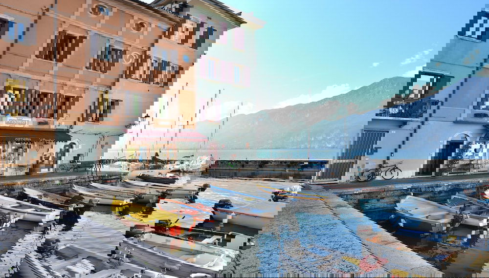 Imagem principal