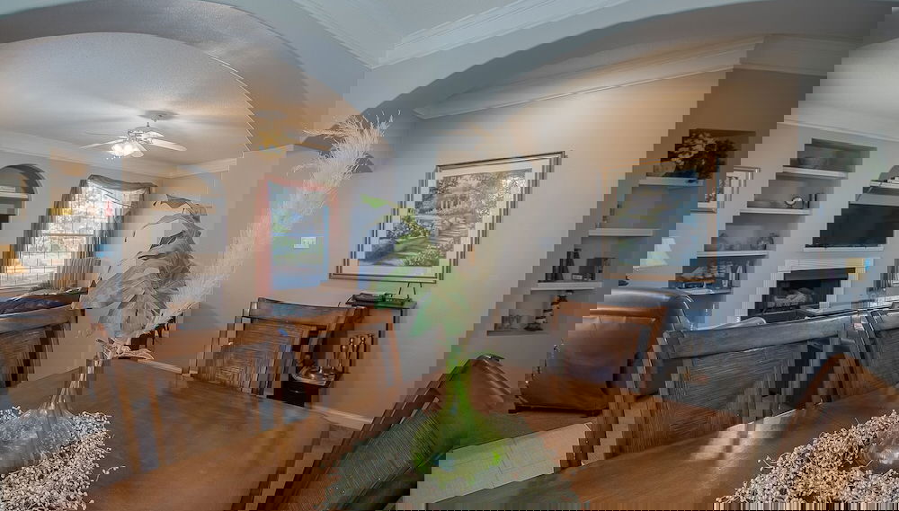 Imagem principal