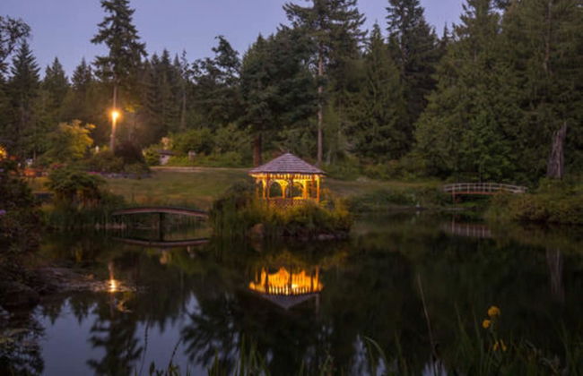 A Hidden Haven & Water Garden Cottages - Foto 57