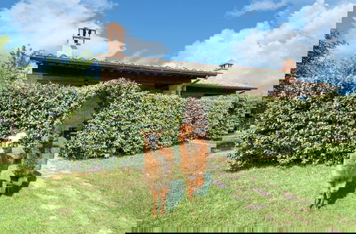 Photo 44 - Farmhouse by Lake Trasimeno With Pool
