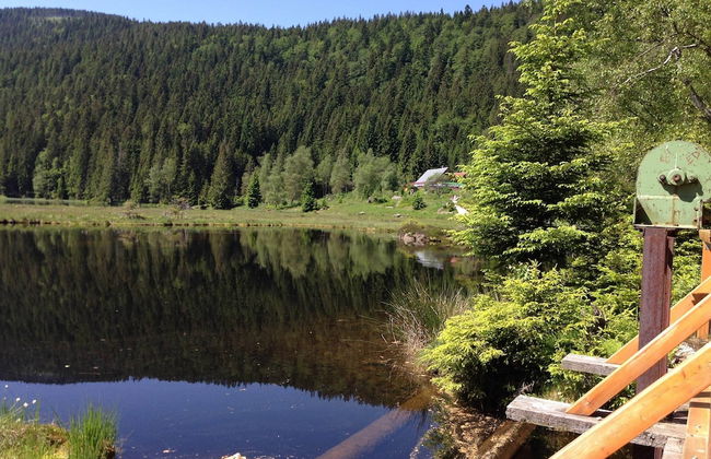 Ferienhaus in Bayern mit Waldblick - Foto 20