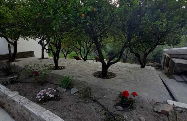 Diamoni Afroditi - Foto 24
