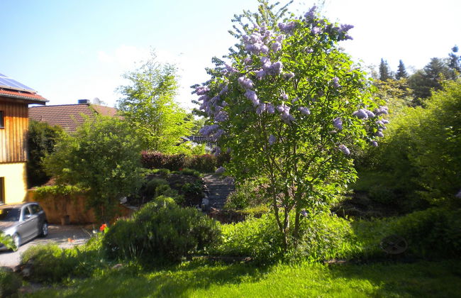 Eifelstüffje - Foto 10