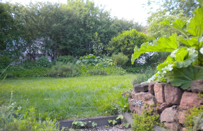 Eifelstüffje - Foto 11