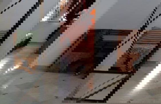 Benzineb Immo Cité Khadra - Photo 16