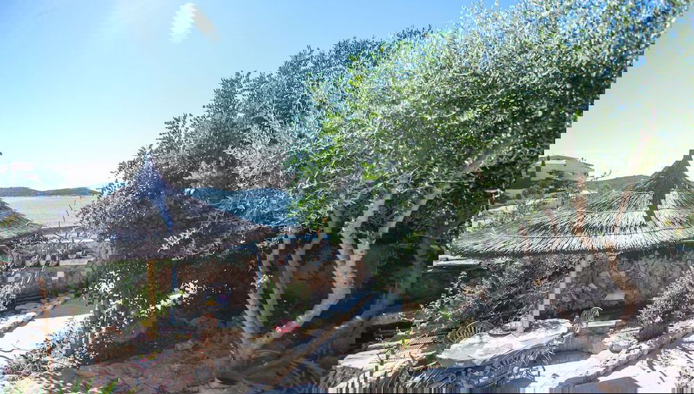 Image principale