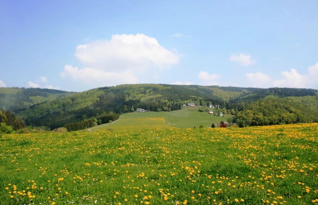 Apartment in Willingen Near Ski Slopes - Foto 16