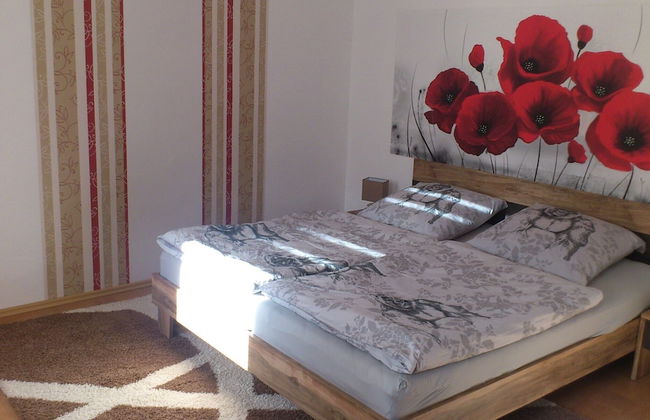 Spacious Apartment With Terrace Zur Forelle - Photo 5