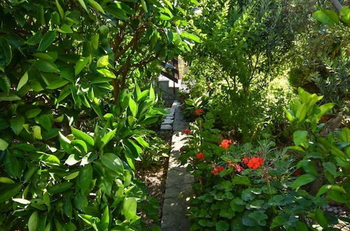 Photo 32 - Frane - With Garden - A1